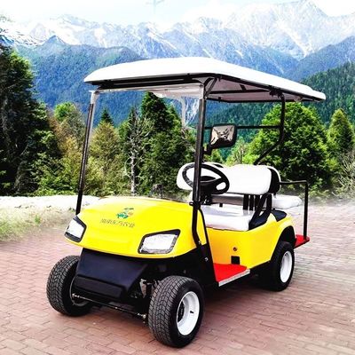 左ハンドドライブ 電動ゴルフ バギー リチウム電池駆動ゴルフカート 2-10席